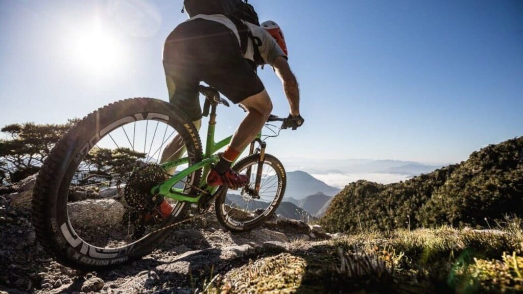 Mountain Bikes Bikershop