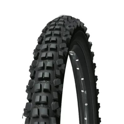 Pokrishka michelin dh 24 at