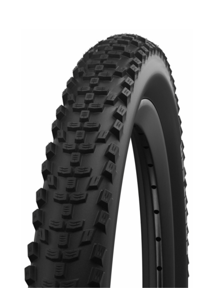 Pokrishka schwalbe smart sam